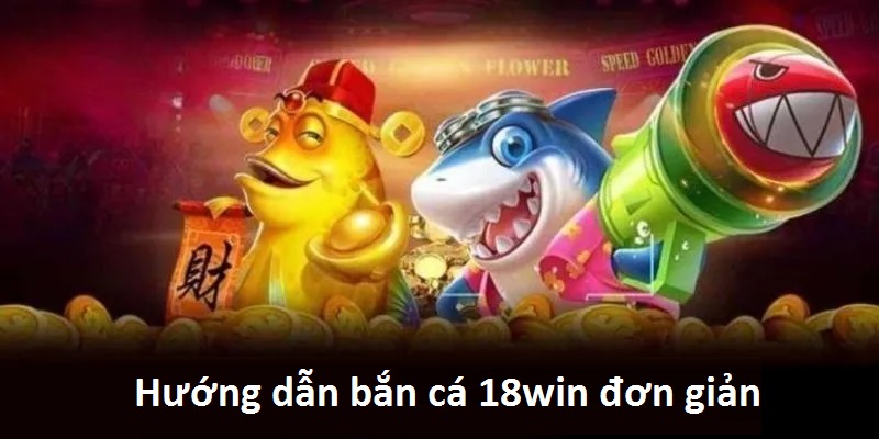 5 bước săn cá đơn giản