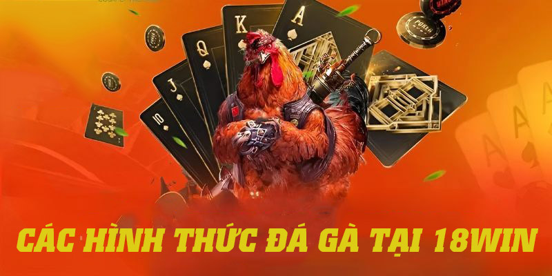 Điểm danh các hình thức đá gà tại 18win phổ biến nhất