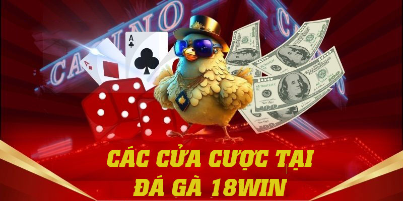 Giới thiệu các cửa cược hấp dẫn khi tham gia tại đá gà 18win